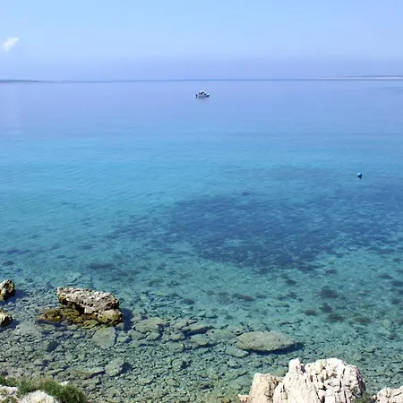 Double Mandre 3557a 3* Колан