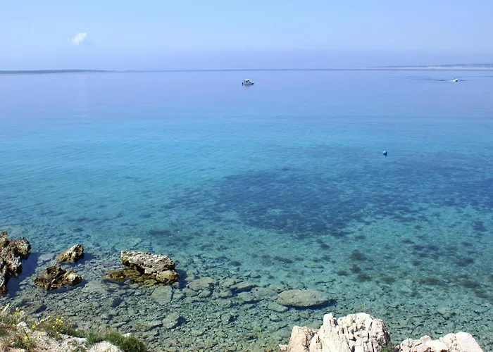 Double Mandre 3557a 3* Kolan